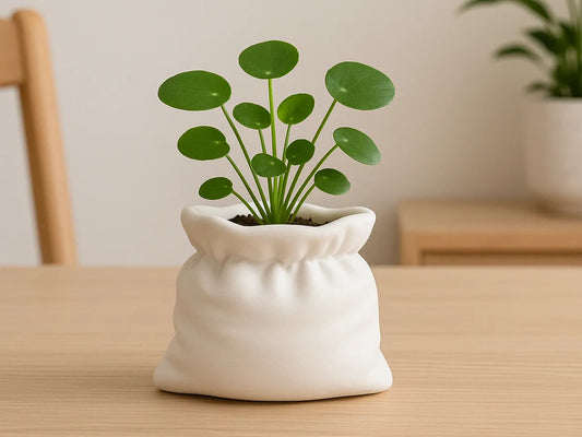 Pose Vase
