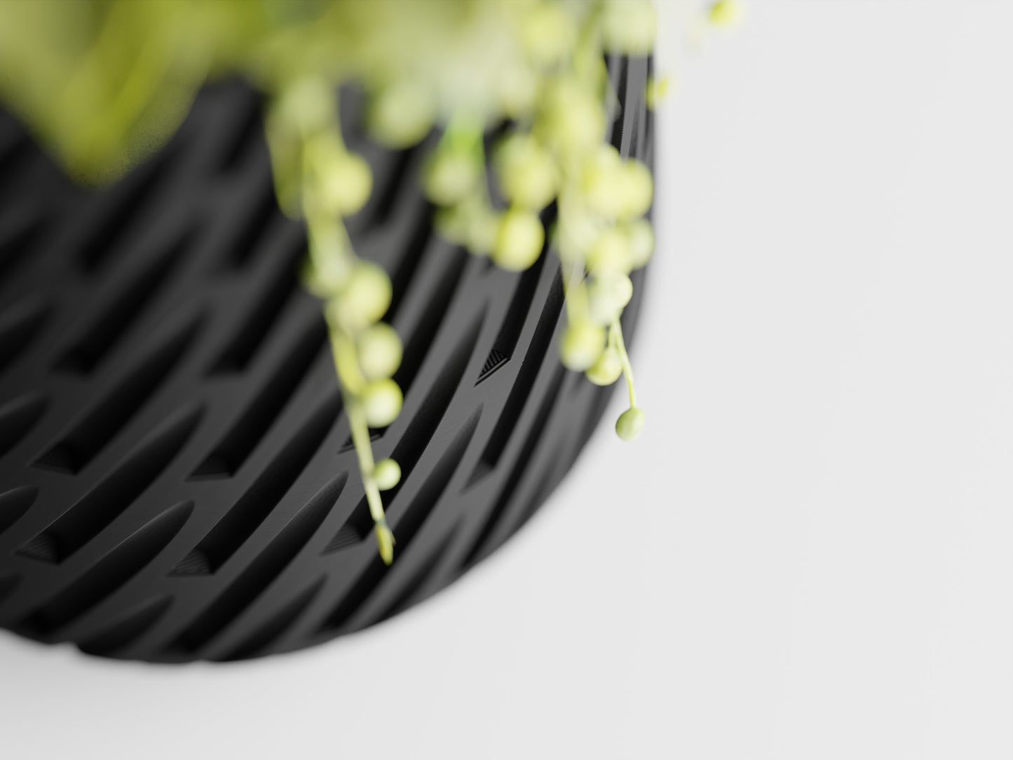 Lioren Vase